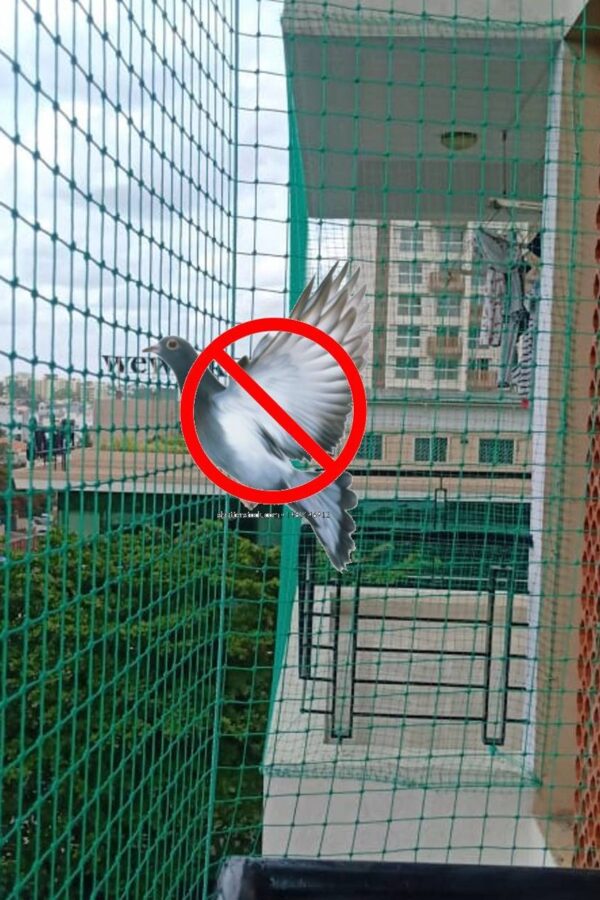 Pigeon Safety Netting Service Near Me in Bnagalore