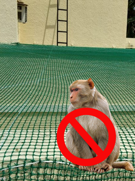 Monkey Safety Nets, Monkey Safety Nets for Balconies, Monkey Safety Nets Near Me, Monkey Protection Nets in Bangalore
