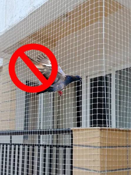 Pigeon nets for balconies in Bangalore
